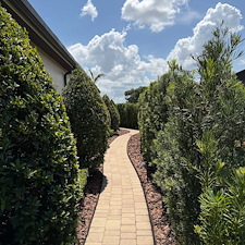 Bed-Beautification-in-Grasslands-Lakeland-Florida 3