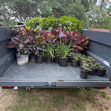 Landscape Installation in Lakeland, FL 0