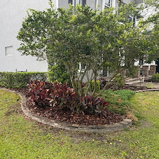 Landscape Installation in Lakeland, FL 4