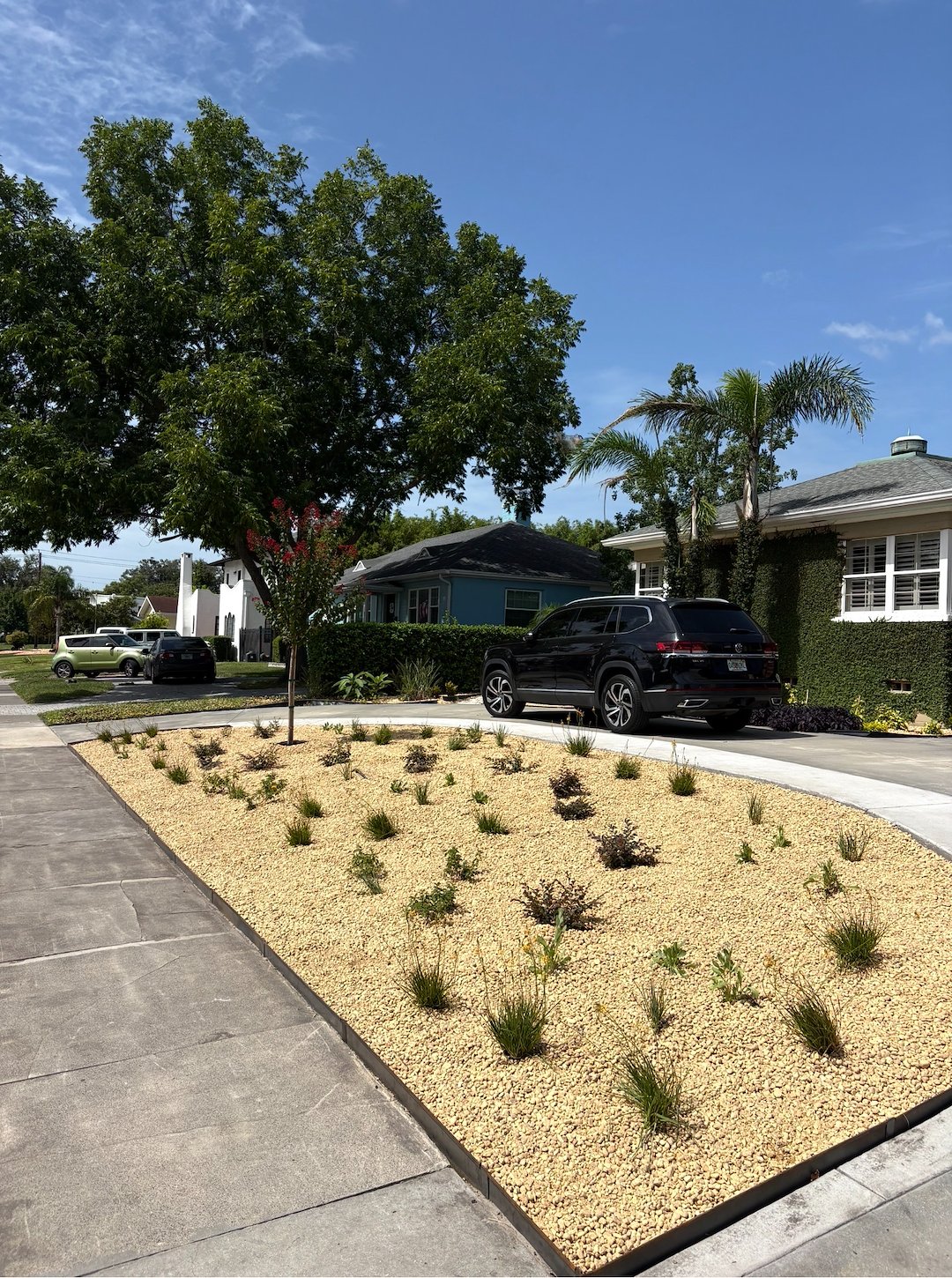 Landscape Renovation in Lakeland, Florida