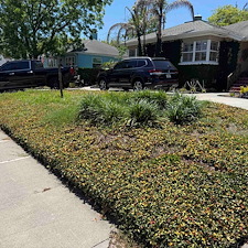 Landscape-Renovation-in-Lakeland-Florida 4
