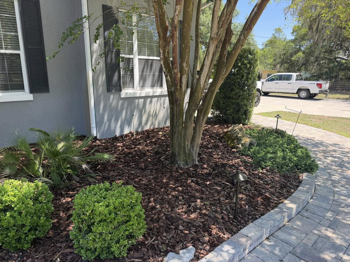 Forestry Mulching Thumbnail