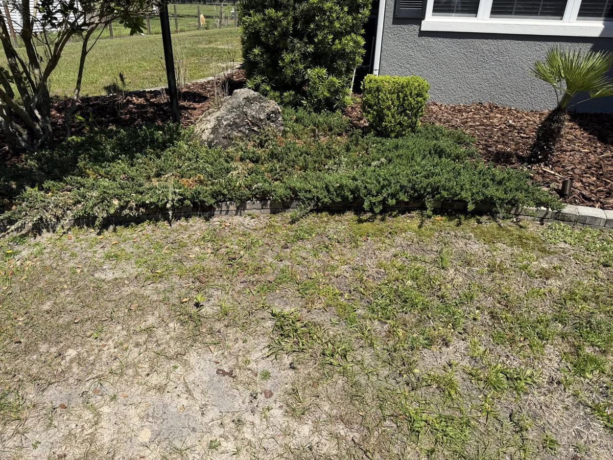 Property Cleanup Thumbnail