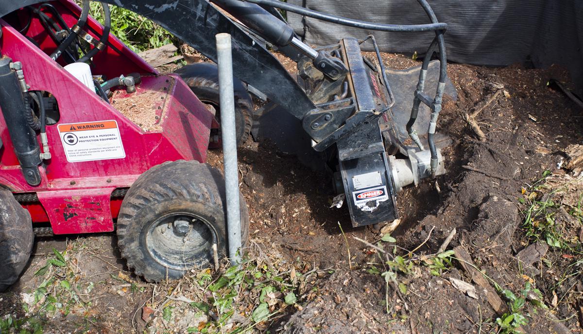 Stump Grinding Thumbnail